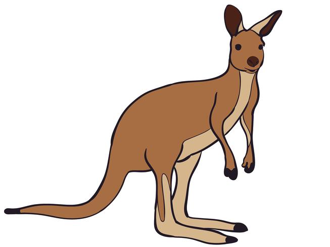 kangaroo - Download Free Vector Art, Stock Graphics & Images