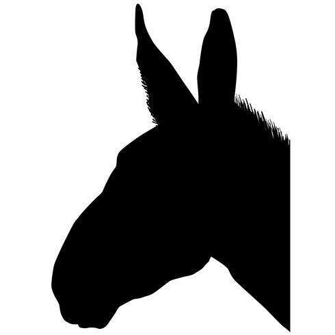 mule vector eps - Download Free Vectors, Clipart Graphics & Vector Art