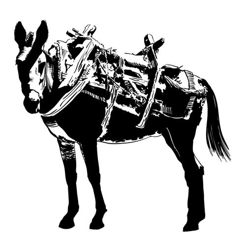 mule vector eps - Download Free Vectors, Clipart Graphics & Vector Art
