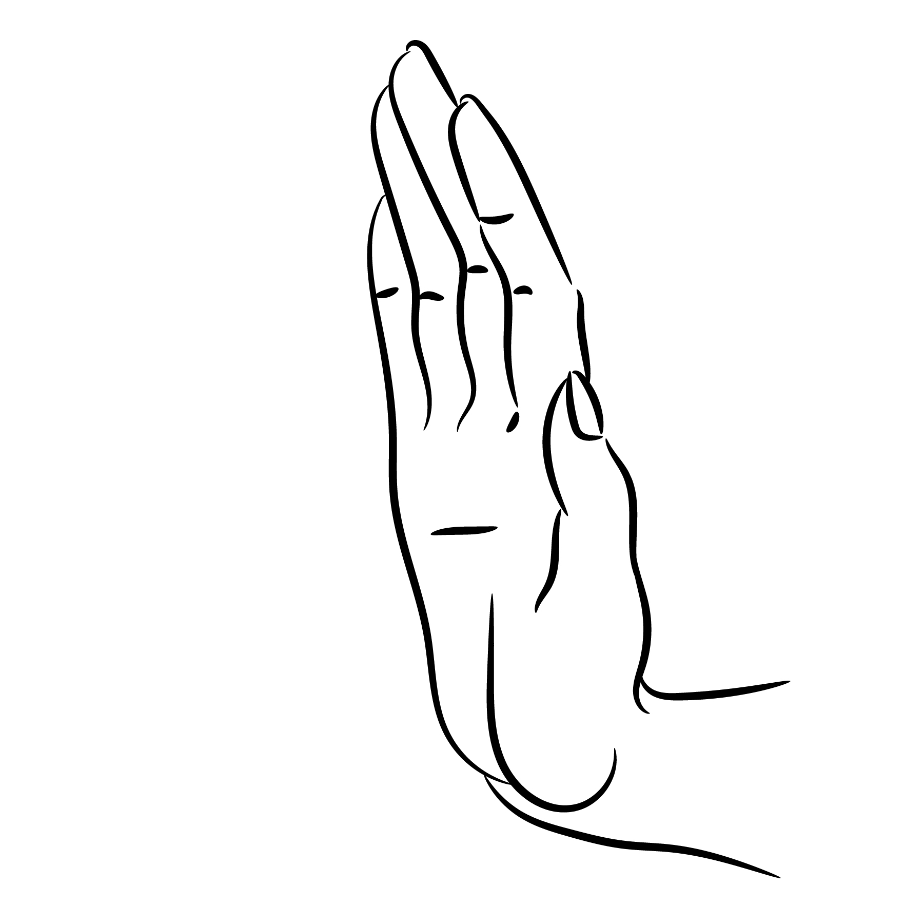 Stop Sign Hand SVG