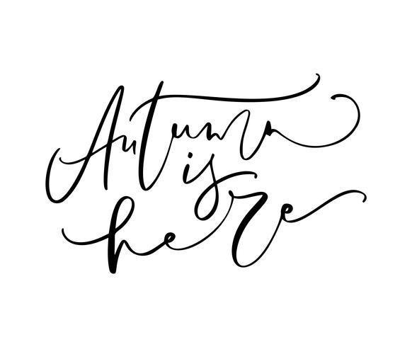 Autumn is here lettering calligraphy text isolated on white background. Hand drawn vector illustration. Black and white poster design elements