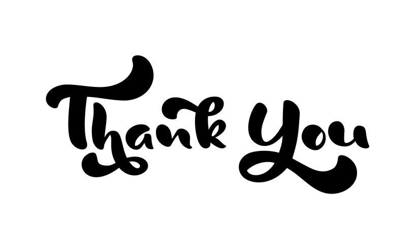 Thank you hand drawn calligraphic lettering text. Handwritten vector illustration for greeting card, print on mug, tag