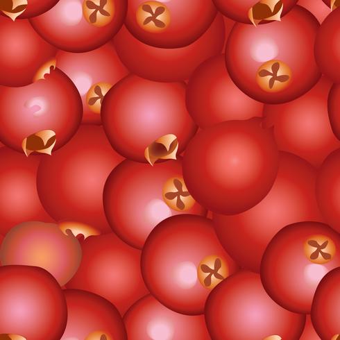 Cranberry seamless pattern Berry floral background. Summer food vector