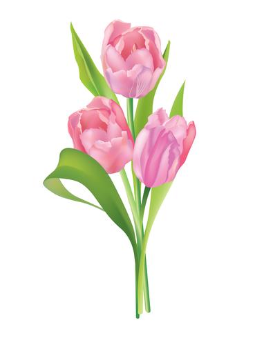 Flower bouquet Floral frame. Summer greeting card background vector