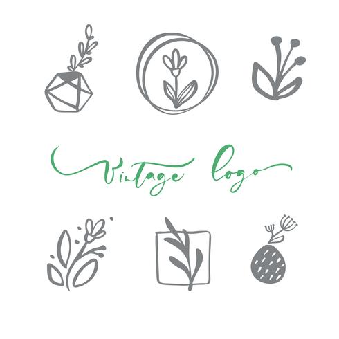 Set Of Vector Scandinavian Floral Logo Hand Drawn Icon Flower Organic Cosmetic Florist Wedding Home Decor Vintage Logo Text Download Free Vectors Clipart Graphics Vector Art