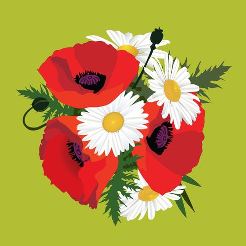 Flowers isolated. Floral summer bouquet. vector