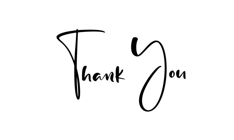 Thank you hand drawn calligraphic lettering text. Handwritten vector illustration for greeting card, print on mug, tag