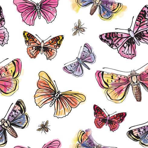 Butterfly seamless pattern. Summer holiday wildlife floral background. vector