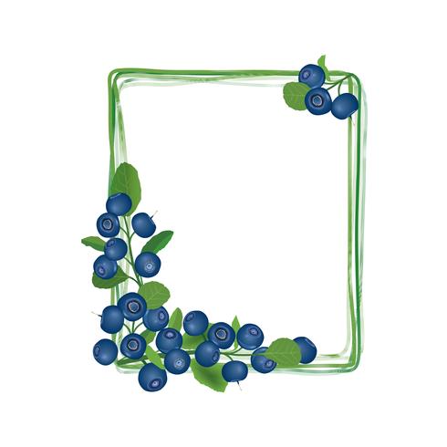 Blueberry branch frame. Berry floral background. Summer food decor vector