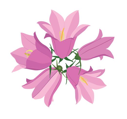 Flowers isolated. Floral summer bouquet. vector