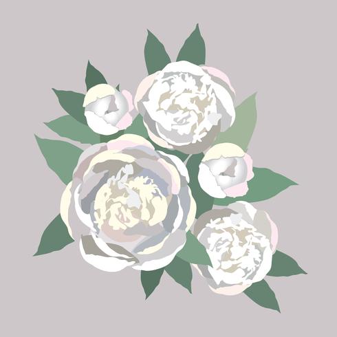 Flowers isolated. Floral summer bouquet. vector