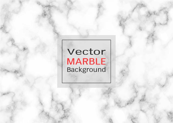 Abstract white marble texture. vector