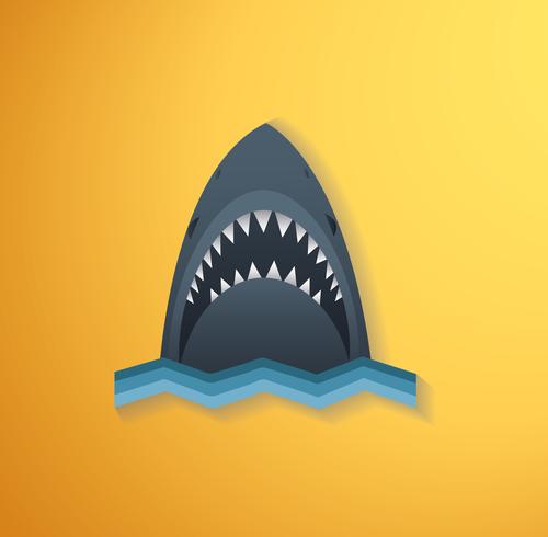 Shark vector illustration 