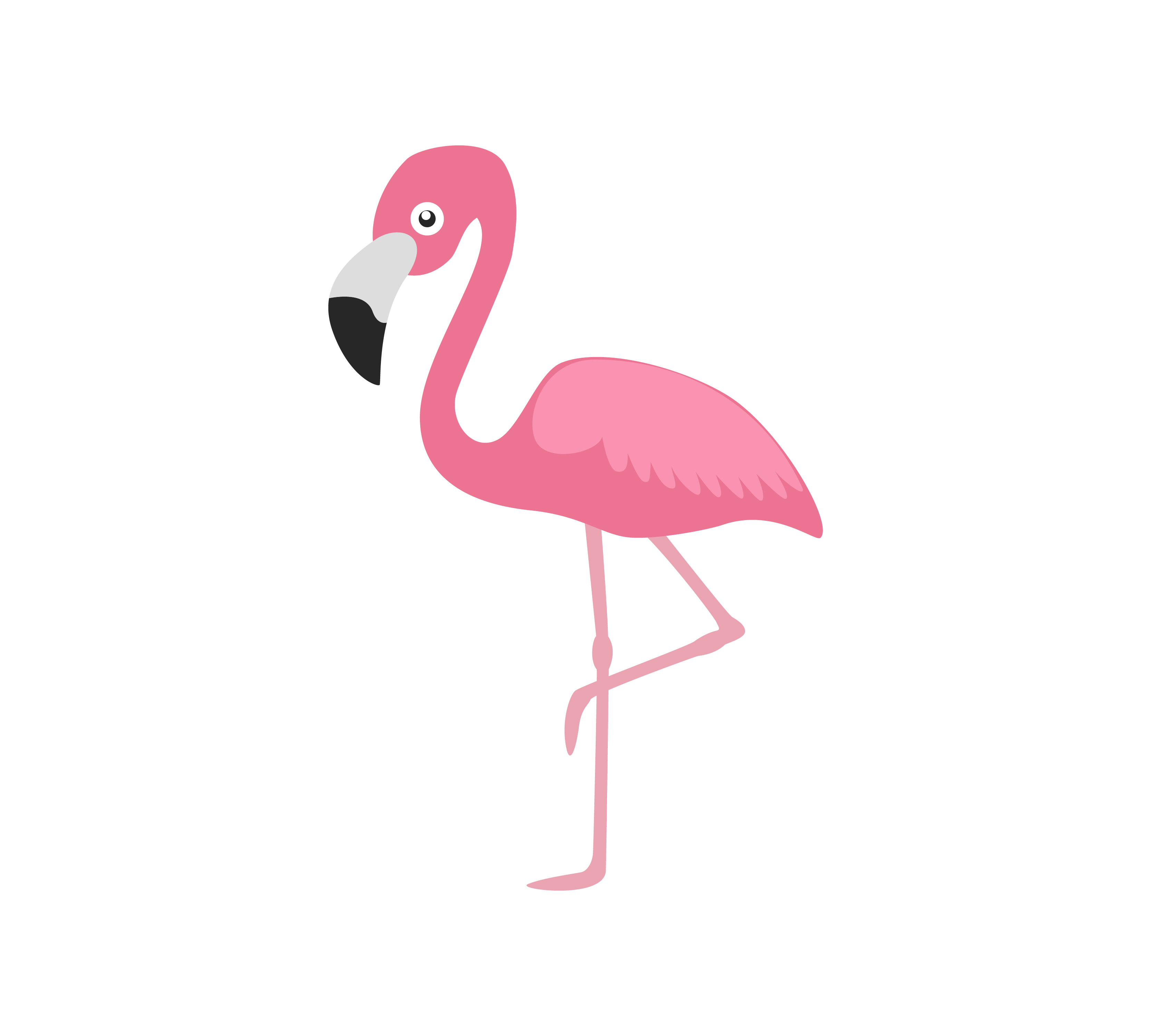 Vector illustration pink flamingo isolated on white