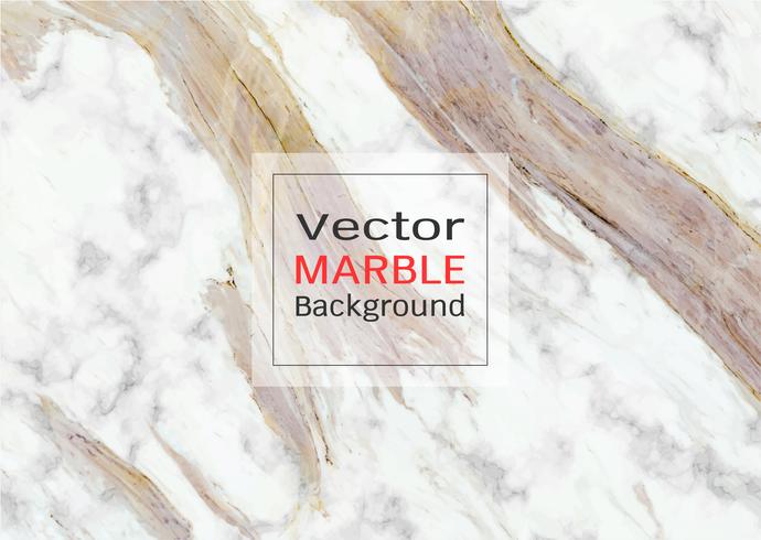 Vector white marble texture.