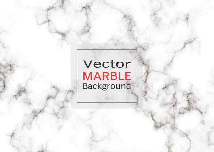 Abstract white marble texture. vector