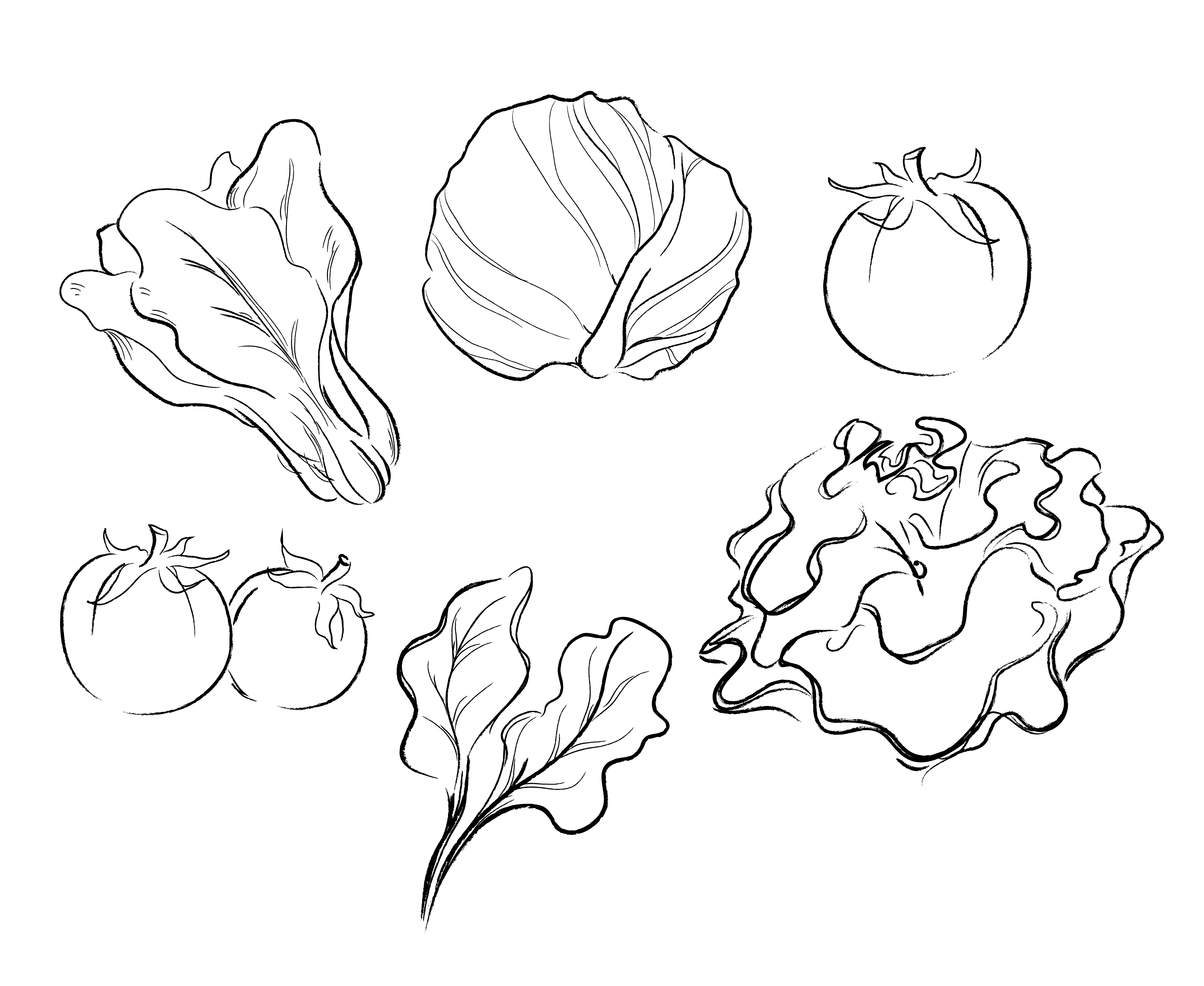 Рисовать овощи легко