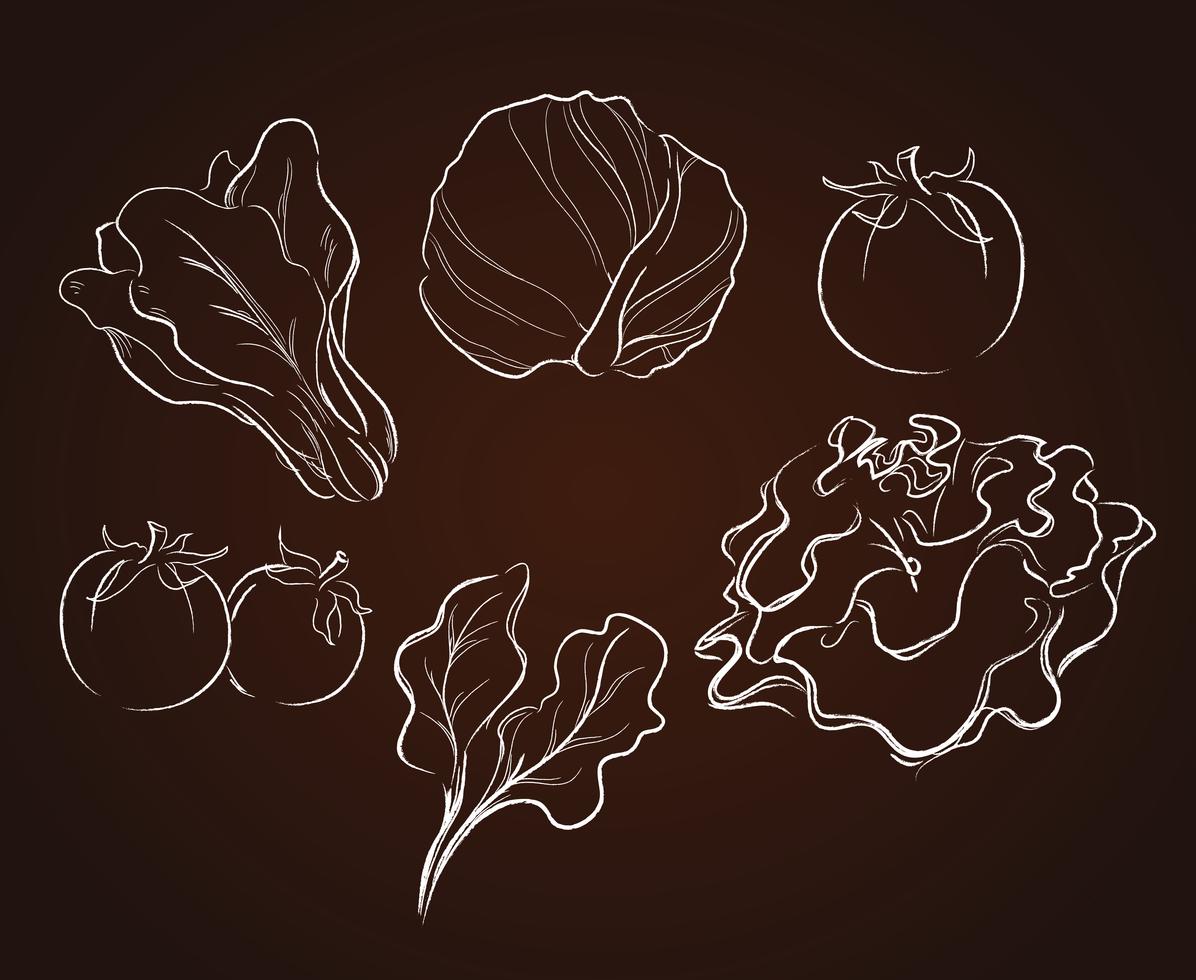 vegetables drawing 531957 Vector Art at Vecteezy