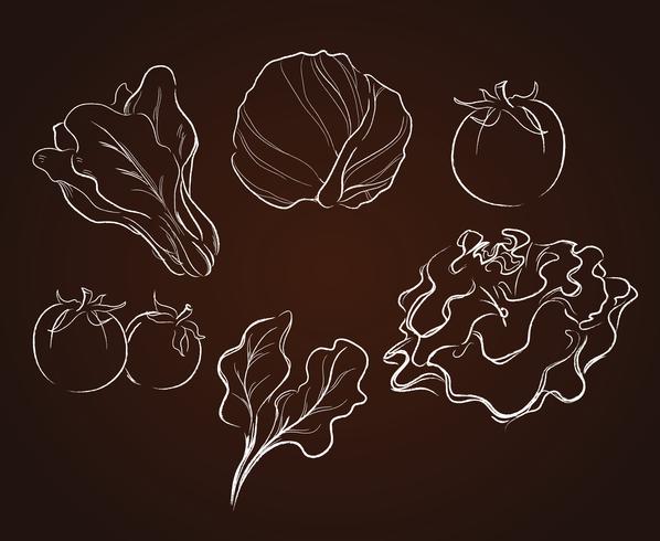 dibujo de verduras vector