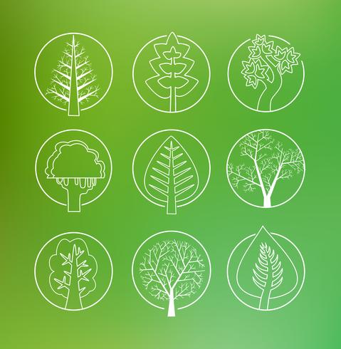 Linear drawing  of trees vector