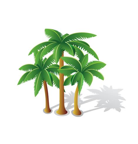 Palmeras tropicales vector