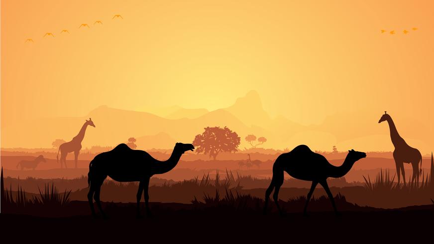 Giraffe and Camel silhouette vector