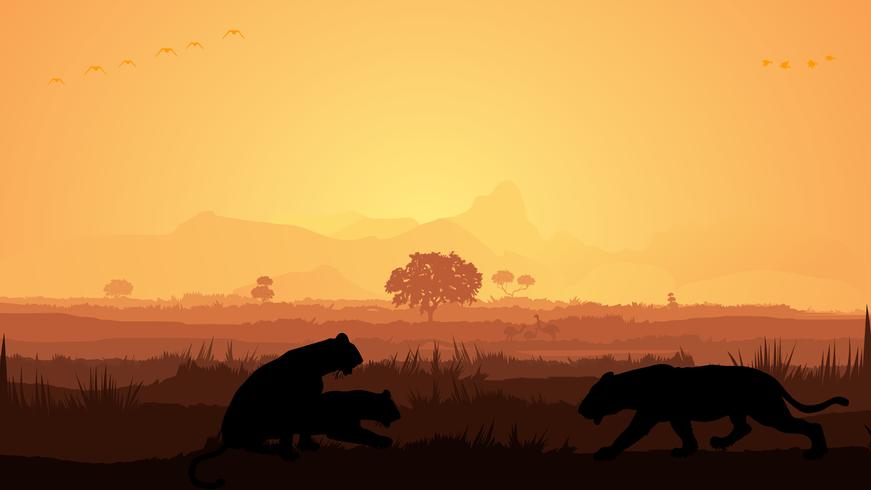 Lion Silhouette vector