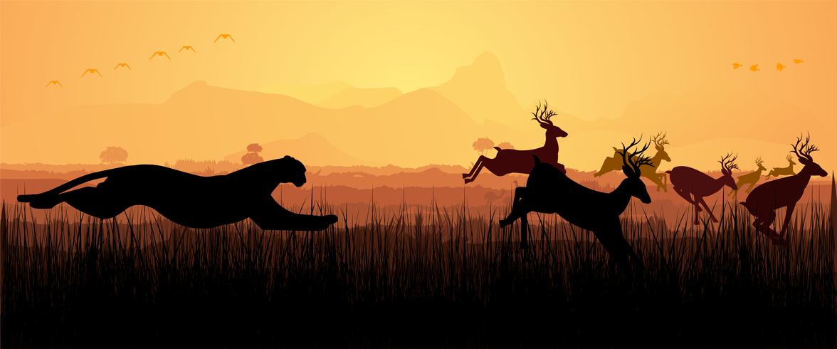 Cheetah Chasing Deer silhouette vector