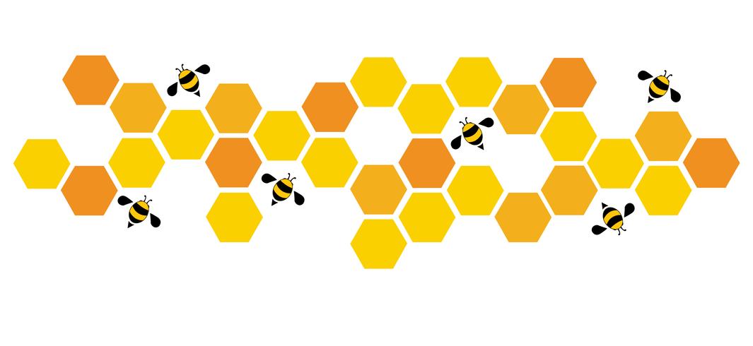 hexágono abeja colmena diseño arte y espacio de fondo vector