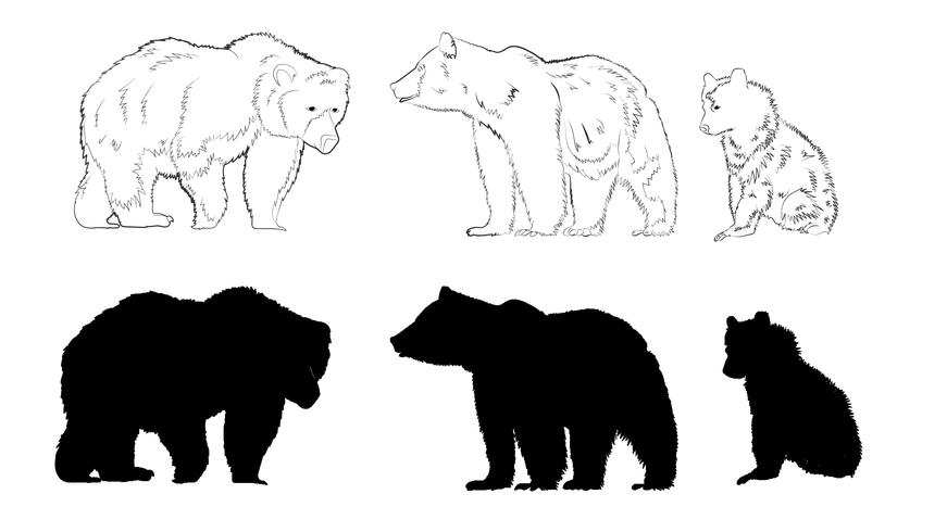 Silueta de oso vector