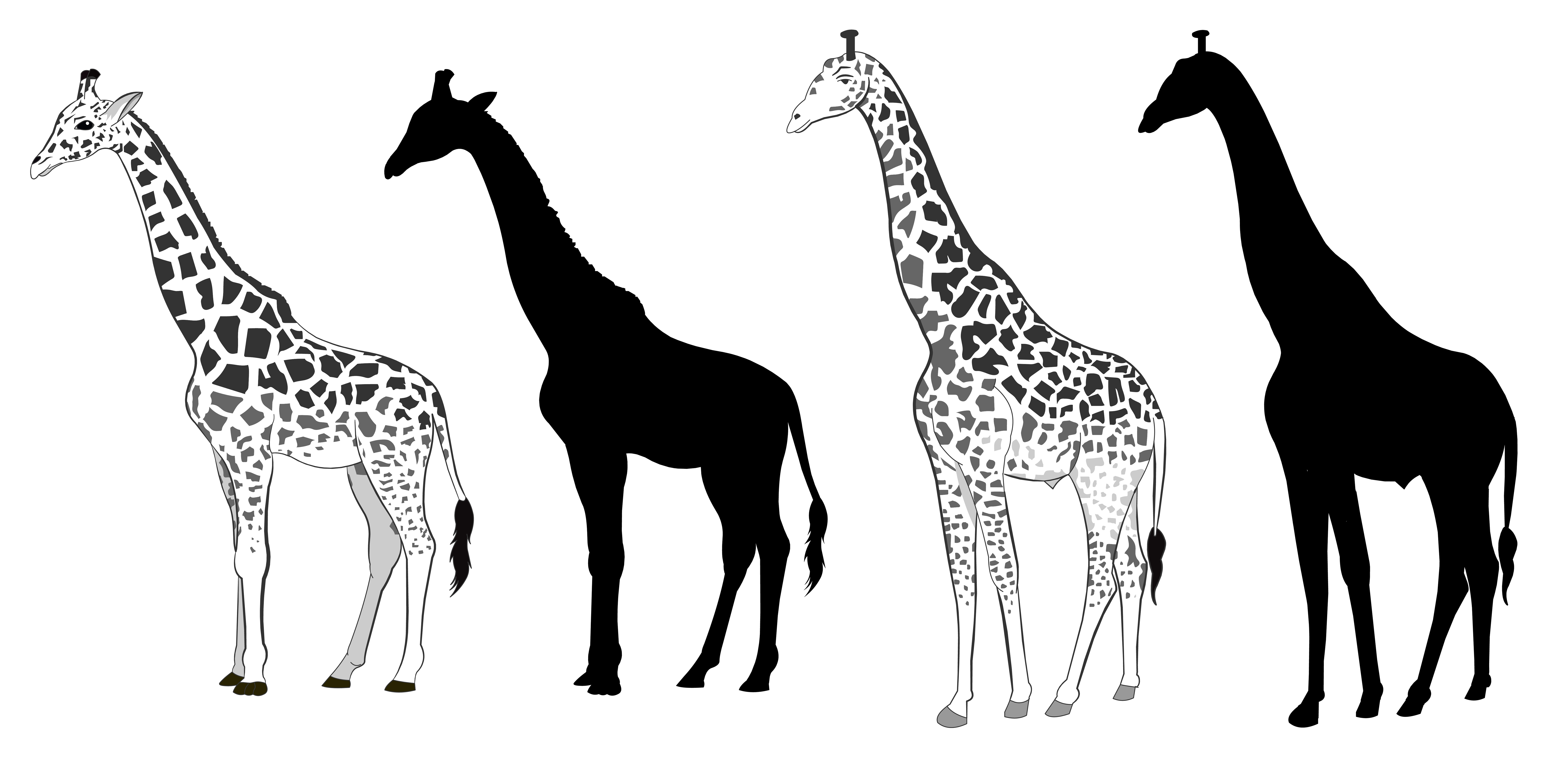 Giraffe Silhouette Patterns