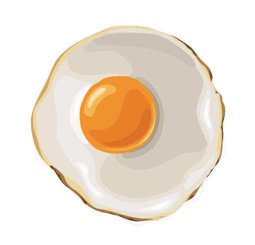 Fried Egg  vector