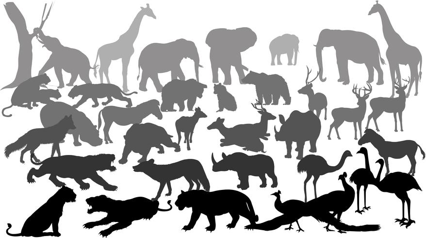 wild animals silhouette vector