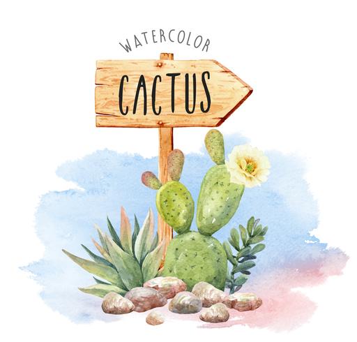 Watercolor Cacti and Succulents in flowerpot. vector