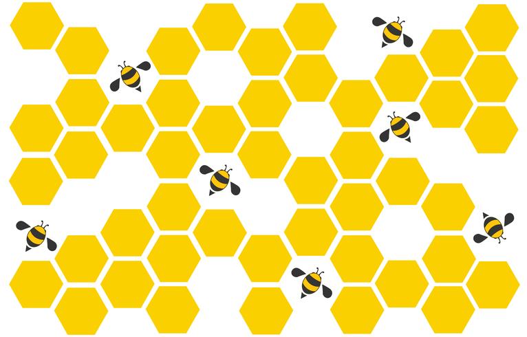 hexágono abeja colmena diseño arte y espacio de fondo vector