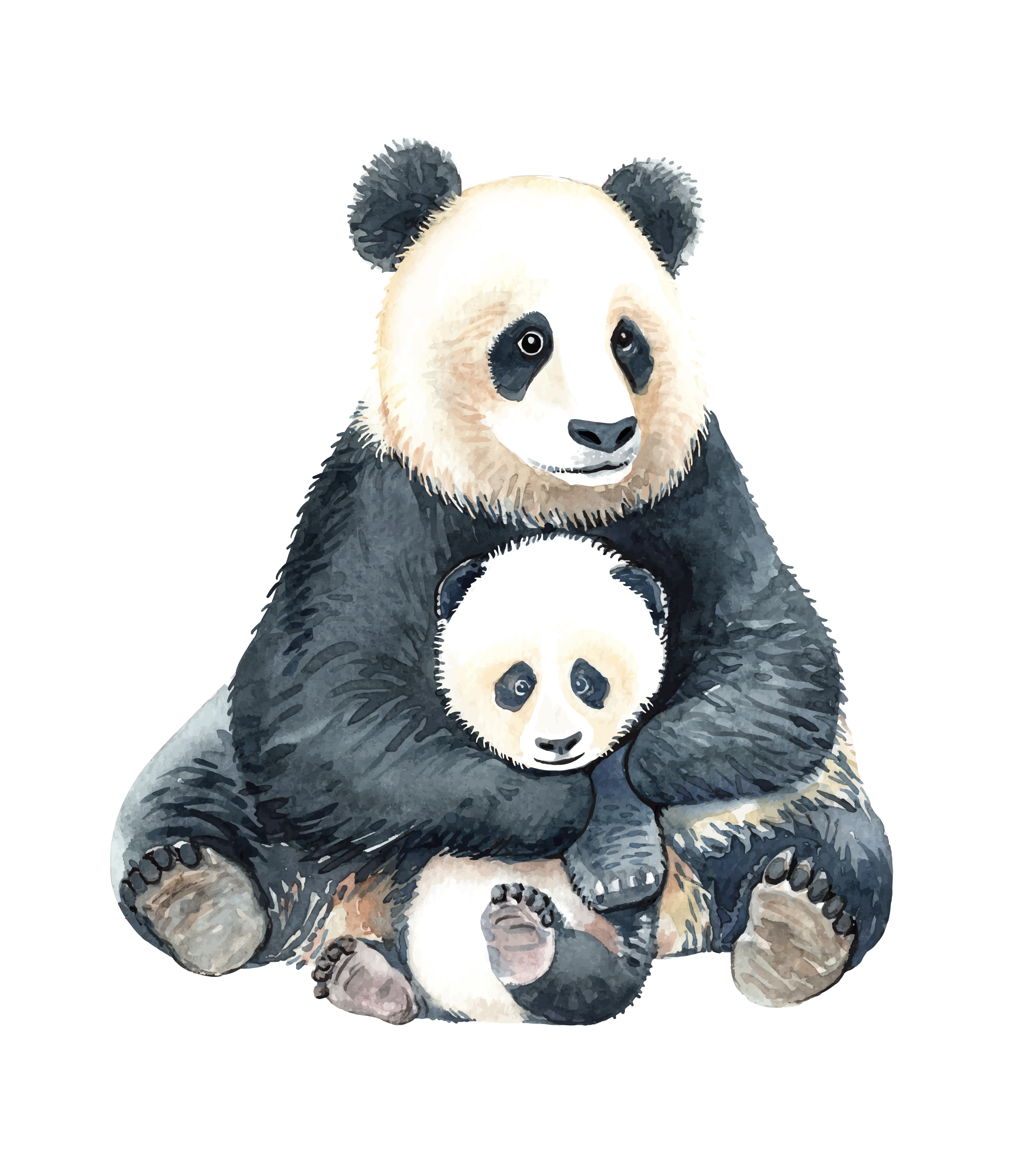 Watercolor panda and baby panda. 533221 Vector Art at Vecteezy