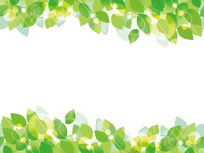 Seamless green leaves background. vector