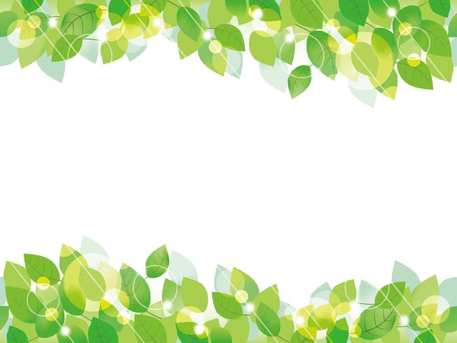 Seamless green leaves background. vector