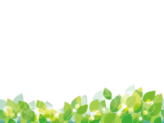 Seamless green leaves background. vector