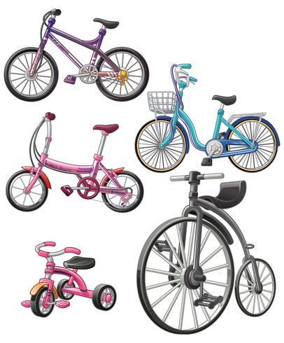 bicycles. vector