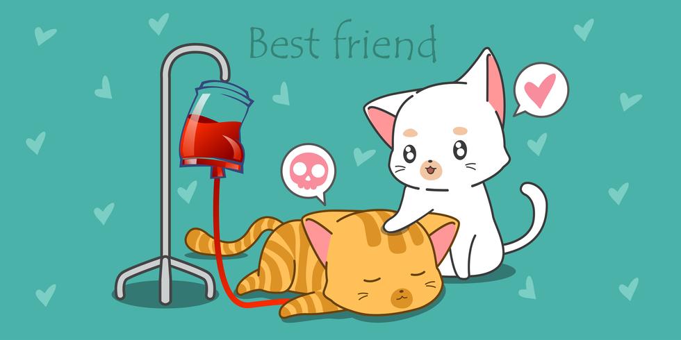 White cat is taking care its sick friend. vector