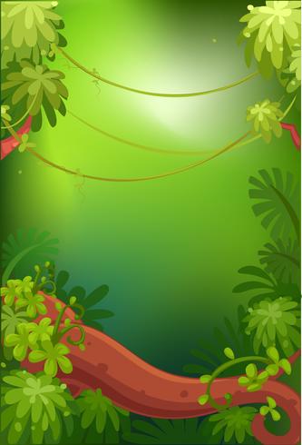 Fondo verde vacío vector