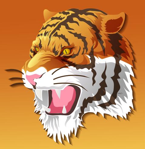 vector isolated tiger head in color background.