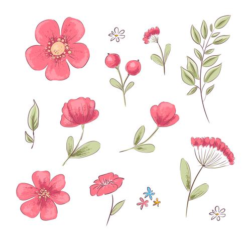 Conjunto de amapolas rojas y margaritas. Dibujo a mano. Ilustración vectorial vector