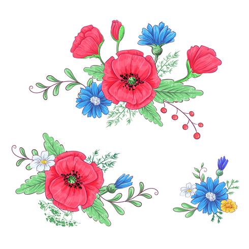 Set of red poppies and daisies. Hand drawing. Vector illustration