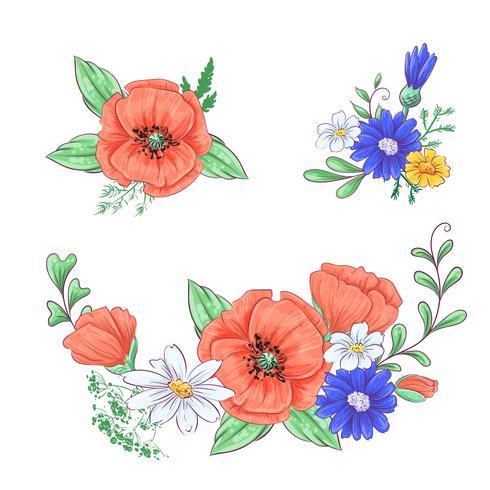 Set of red poppies and daisies. Hand drawing. Vector illustration