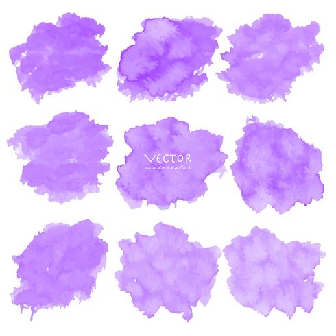 Set of purple watercolor on white background, Brush stroke watercolor, Vector illustration.