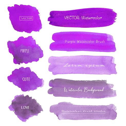 Set of purple watercolor on white background, Brush stroke watercolor, Vector illustration.