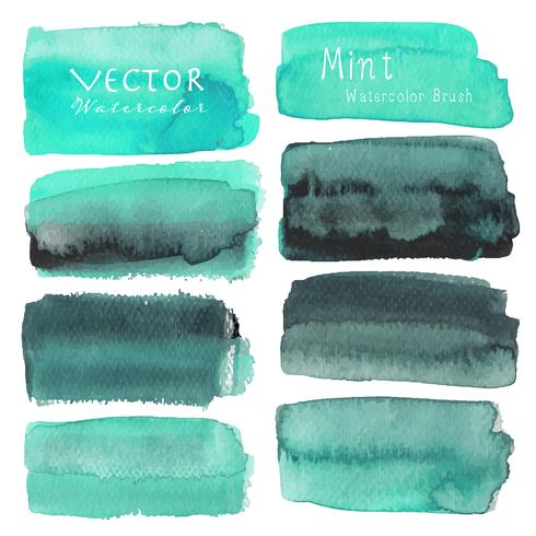 Set of mint watercolor on white background, Brush stroke watercolor, Vector illustration.