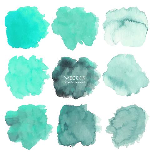 Set of mint watercolor on white background, Brush stroke watercolor, Vector illustration.